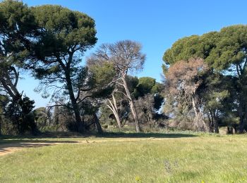 Tocht Stappen Perpignan - Perpignan  - Photo