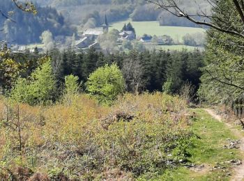 Randonnée Marche nordique Saint-Nicolas-des-Bois - St Nicolas des Bois  - Photo