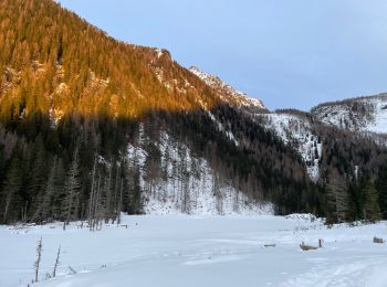 Tour Wandern Mallnitz - Dösen tal - Photo