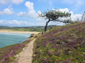 Trail Walking Crozon - Boucle 18 km Morgat Pointe de Dinan - Photo