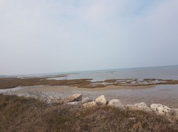 Tour Wandern Le Château-d'Oléron - le château  - Photo