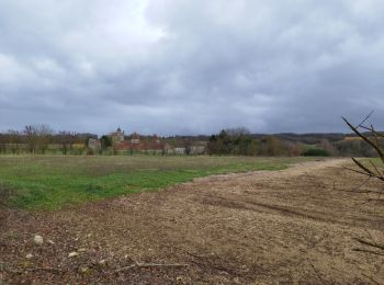 Tocht Stappen Villejoubert - Villejoubert et le château de la Barre - Photo