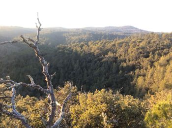 Excursión Bici de montaña Barjols - Le belvédère  - Photo