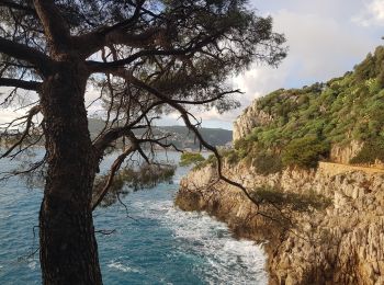 Randonnée Marche Nice - Vieux Nice- Beaulieu par la côte  - Photo