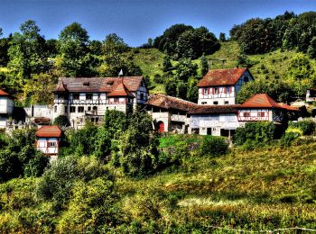 Excursión A pie Gomadingen - hochgehswiggert - Photo