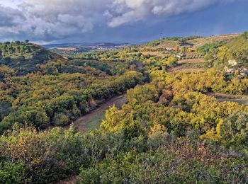 Tocht Stappen Conques-sur-Orbiel - Les Hauts du Rieu Sec - Photo