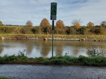 Tour Wandern Pont-à-Celles - PONT - A - CELLES _ Marche Fédérale _ Hainaut _ 31/10/2021 - Photo