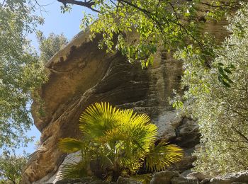 Excursión Senderismo Beaumettes - les Beaumettes , goult,  - Photo