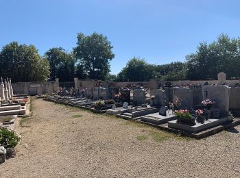 Tour Zu Fuß Saint-Paul-de-Varax - Sentier Louis Jourdan - Photo