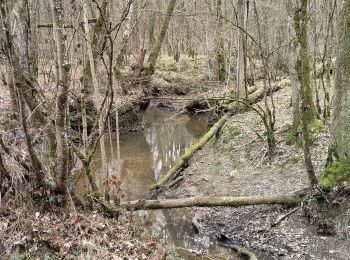 Excursión Senderismo Laneuville-sur-Meuse - 55-Laneuville-bois-7km - Photo