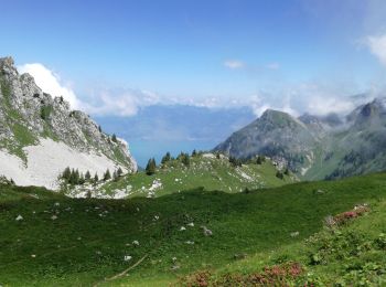 Excursión Senderismo Vacheresse - LAC DARBON CHAROUSSE - Photo