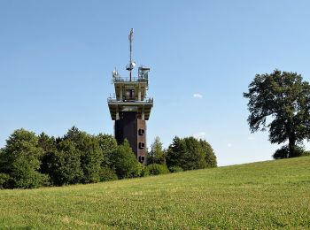 Excursión A pie Gemeinde Wienerwald - Stangau - Wöglerin - Gruberau - Photo