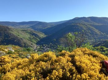 Tour Wandern Pont de Montvert - Sud Mont Lozère - J3: Le Pont de Montvert-Florac par le Signal du Bougès - Photo