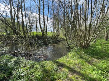 Randonnée Marche Vendegies-sur-Écaillon - Vendegies sur Ecaillon - Menhir 16,8 k - Photo