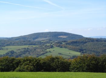 Percorso A piedi Witzenhausen - Schneehagenweg - Photo