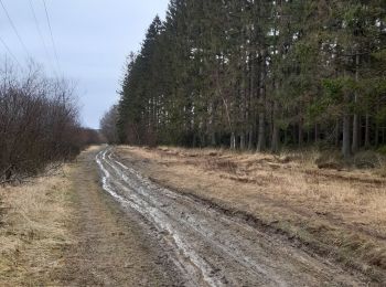 Tocht Stappen Theux - vertbuisson . chefna . porallee  . éolienne bronrome . vertbuisson - Photo