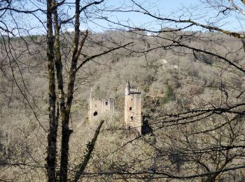 Randonnée Marche Goulles - Les tours Carbonnieres - Photo