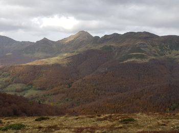 Excursión Senderismo Saint-Jacques-des-Blats - Le puy du Griou - Photo