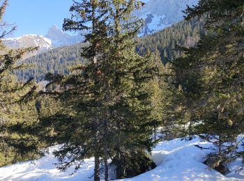 Tour Schneeschuhwandern Villard-de-Lans - Vilard de Lans 2022 - Photo