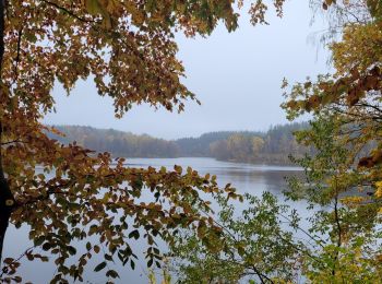 Tour Wandern Florenville - rando les epioux 31-10-2023 - Photo