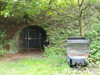 Tour Zu Fuß Balve - Mellen Rundweg A4 - Photo