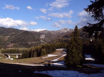 Tocht Te voet Turnau - Gamssteig - Photo