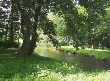 Tocht Stappen Libin - Lesse - Virée à Chène (LI08) - Photo