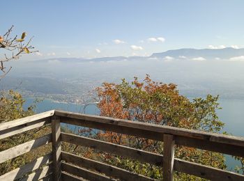 Excursión Senderismo Bourdeau - dent du chat et gd Molard - Photo