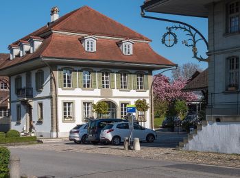 Randonnée A pied Dürrenroth - Dürrenroth - Unter Tannen - Photo