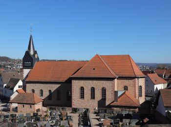 Randonnée A pied Obernburg am Main - Rundwanderweg Obernburg Am Bubenbrunnen 2: Adel-Weg - Photo