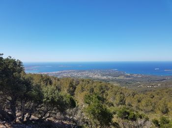 Excursión Senderismo Sanary-sur-Mer - Le Gros Cervea - Photo