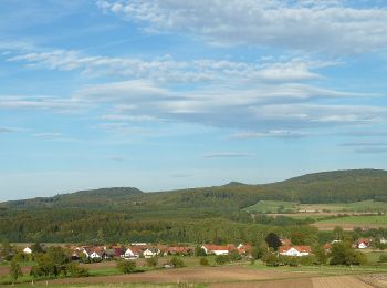 Tocht Te voet Scheden - Rundwanderweg Scheden 7 - Photo