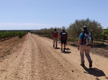 Tocht Stappen Nîmes - Régordane 9 - Nîmes-St Gilles - Photo