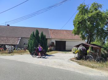 Tocht Hybride fiets Ornans - Ornans - Naisey les Granges AR, via la voie verte - Photo