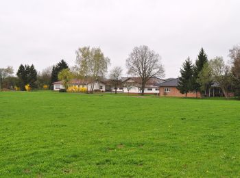 Percorso A piedi Ruppichteroth - Schönenberg Rundweg 