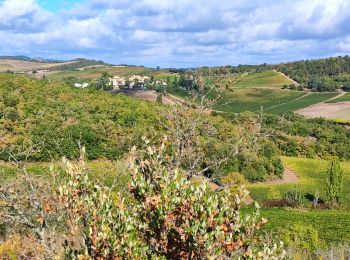 Excursión Senderismo Pauligne - pauligne, Cassagnau, Le Soulié, Pauligne - Photo