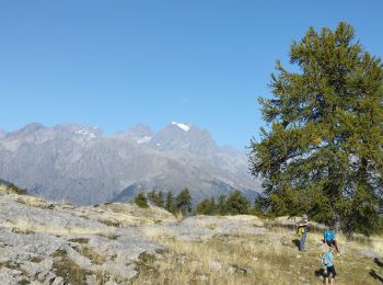 Tocht Stappen L'Argentière-la-Bessée - Les Têtes et tête d'Oréac  - Photo