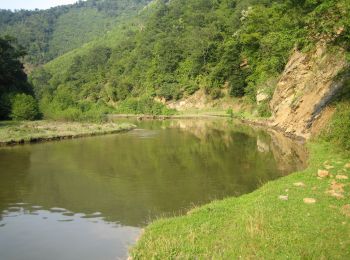 Tour Zu Fuß Orschowa - Traseul ecoturistic Țarovăț (blue triangle) - Photo