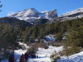 Randonnée Raquettes à neige Le Dévoluy - mercredi - Photo