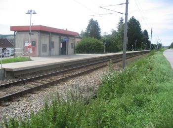 Tour Zu Fuß Gemeinde Hollabrunn - Tut Gut - Waldlehrpfad - Photo