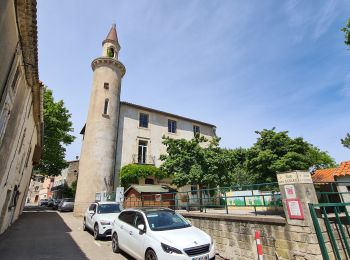 Tocht Stappen Saint-Côme-et-Maruéjols - St_Come_oppidum_capitelle_prieure - Photo