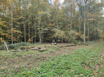 Randonnée A pied Saint-Léger-aux-Bois - La Bienfaisance - Photo