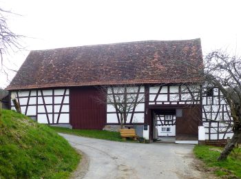 Percorso A piedi Reichelsheim (Odenwald) - Rundwanderweg Reichelsheim 1: Sagenweg Wildweibchenstein - Photo