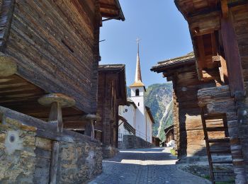 Trail On foot Riederalp - Massaweg - Photo