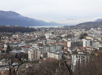 Trail Walking Aix-les-Bains - bois vidal pat - Photo