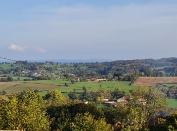 Randonnée Marche Jourgnac - Puy de Banneix  - Photo