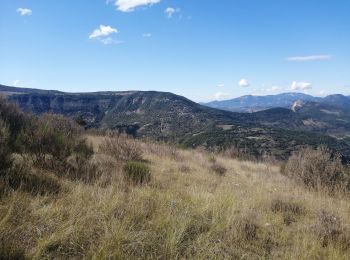 Tour Wandern Rémuzat - le mont rond - Photo