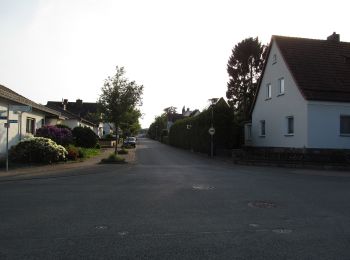 Tocht Te voet Hofgeismar - Hofgeismar - Kelze - Photo