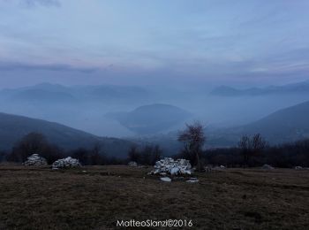 Tocht Te voet Polaveno - Sentiero degli Elfi - Photo