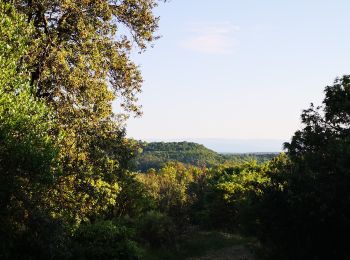 Tour Nordic Walking Saint-Ambroix - 18.05.20 piste  - Photo